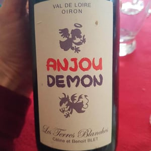 Ange ou Demon - Domaine Saurigny - jerome-saurigny