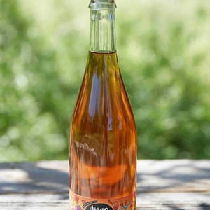 Ange Ou Orange - Domaine Deboutbertin - Stéphanie & Vincent Deboutbertin 