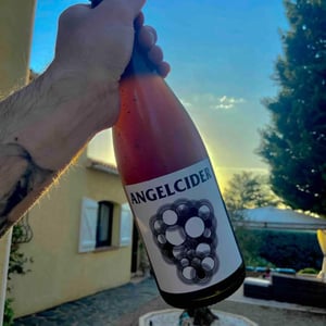 Angel Cider - No Control - vincent-marie