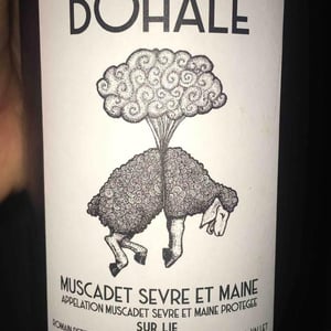 Bohale - Domaine de la Tourlaudière - Romain Petiteau 