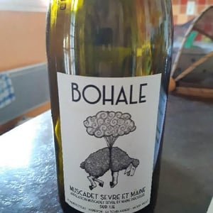 Bohale - Domaine de la Tourlaudière - romain-petiteau