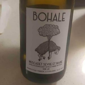 Bohale - Domaine de la Tourlaudière - Romain Petiteau 