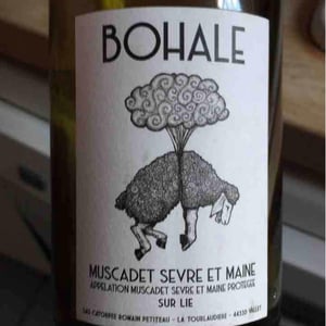 Domaine de la Tourlaudière - Romain Petiteau - Bohale