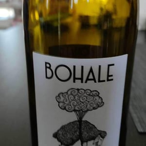 Domaine de la Tourlaudière - Romain Petiteau - Bohale