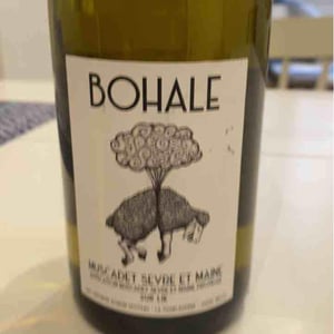 Bohale - Domaine de la Tourlaudière - Romain Petiteau 