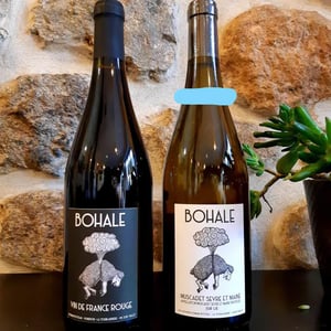 Bohale - Domaine de la Tourlaudière - romain-petiteau