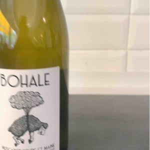Bohale - Domaine de la Tourlaudière - romain-petiteau