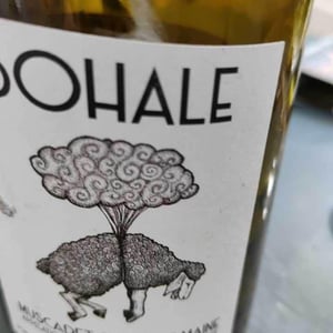 Bohale - Domaine de la Tourlaudière - Romain Petiteau 