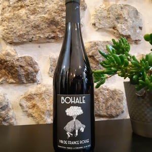 Bohale Rouge - Domaine de la Tourlaudière - Romain Petiteau 