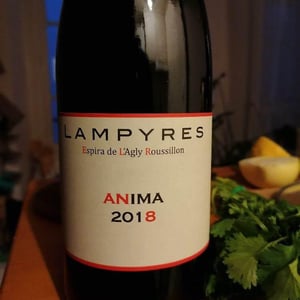 Anima 2018 - Domaine Lampyres - francois-xavier-daure