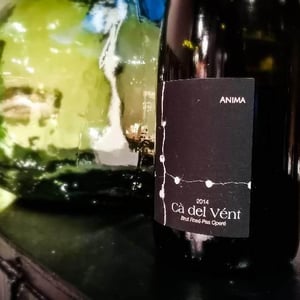 Anima (Brut Rosé Pas Operé) - Cà del Vént - Antonio Tornincasa & Flavio Faliva 