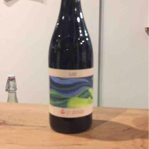 Djur - Domaine Les Abrigans - laura-lees-arthur-joly -2021