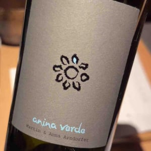 Anina Verde - Weingut Martin & Anna Arndorfer - Martin & Anna Arndorfer 