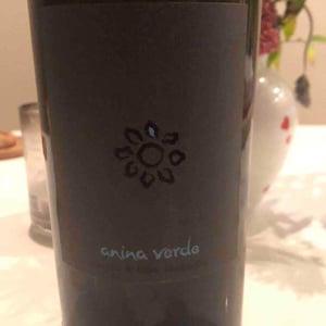 Anina Verde - Weingut Martin & Anna Arndorfer - Martin & Anna Arndorfer 