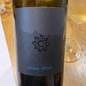 Weingut Martin & Anna Arndorfer - Martin & Anna Arndorfer - Anina Verde