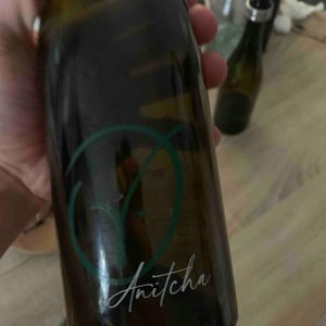 Anitcha - Justine Vigne - Justine Vigne -2022