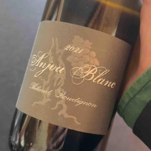 Anjou Blanc - Thibaud Boudignon - thibaud-boudignon