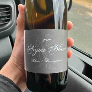 Anjou Blanc - Thibaud Boudignon - Thibaud Boudignon 