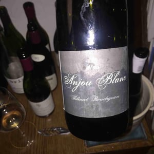 Thibaud Boudignon - Thibaud Boudignon - Anjou Blanc