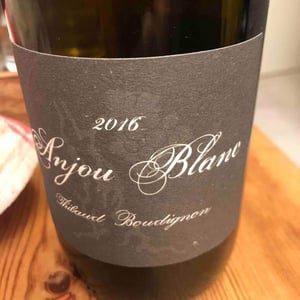 Thibaud Boudignon - Thibaud Boudignon - Anjou Blanc