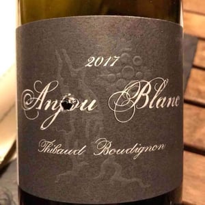 Anjou Blanc - Thibaud Boudignon - thibaud-boudignon