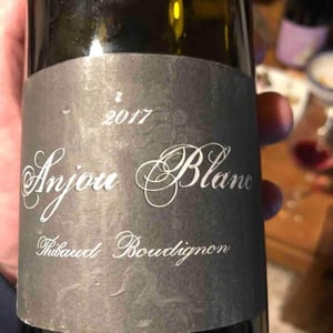 Anjou Blanc - Thibaud Boudignon - Thibaud Boudignon 