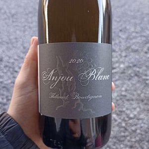 Anjou Blanc - Thibaud Boudignon - thibaud-boudignon