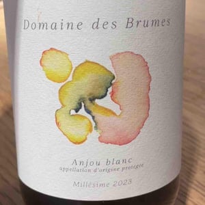 Anjou blanc - Domaine des Brumes - Lucile & Dorian Herlem -2023