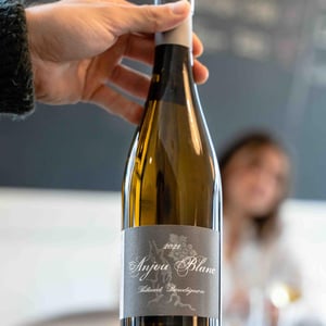 Anjou Blanc - Thibaud Boudignon - thibaud-boudignon