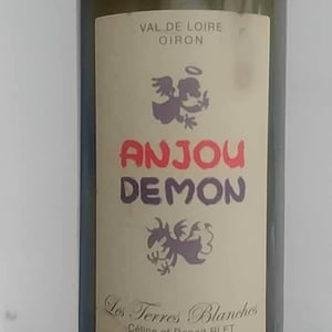 Anjou Demon - Les Terres Blanches - celine-benoit-blet -2021