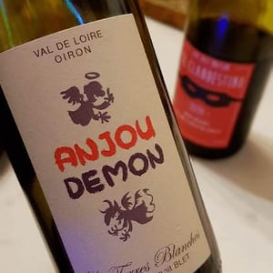 Anjou Demon - Les Terres Blanches - celine-benoit-blet -2021