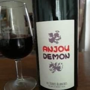 Les Terres Blanches - Celine & Benoit Blet - Anjou Demon