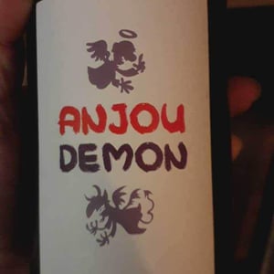 Anjou Demon - Les Terres Blanches - celine-benoit-blet -2021