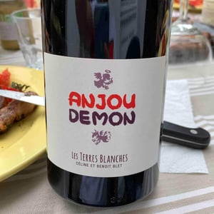 Les Terres Blanches - Celine & Benoit Blet - Anjou Demon