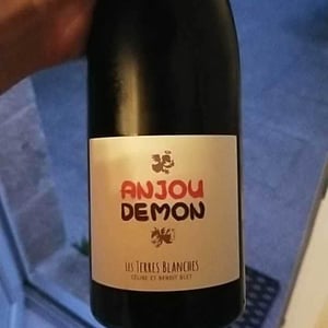Anjou Demon - Les Terres Blanches - celine-benoit-blet -2021