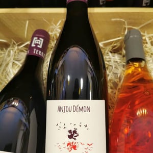 Anjou Demon - Les Terres Blanches - celine-benoit-blet -2021