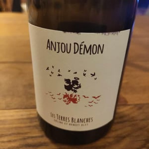 Anjou Demon - Les Terres Blanches - Celine & Benoit Blet -2021