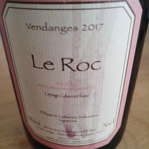 Anjou ‘’Le Roc’’ - Domaine Delesvaux (RETIRED in 2021) - philippe-catherine-delesvaux