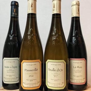 Anjou ‘’Le Roc’’ - Domaine Delesvaux (RETIRED in 2021) - philippe-catherine-delesvaux