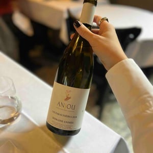 Anjou Rouge - Domaine Andrée - Stéphane Erissé 