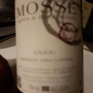 Anjou Rouge - Domaine Mosse - Sylvestre & Joseph Mosse 