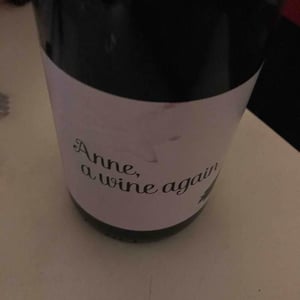 Anne, a wine again - Autour de l'Anne - Anne Leclerc Paillet 