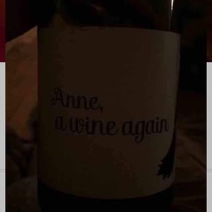 Autour de l'Anne - Anne Leclerc Paillet - Anne, a wine again