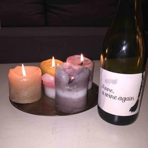 Autour de l'Anne - Anne Leclerc Paillet - Anne, a wine again