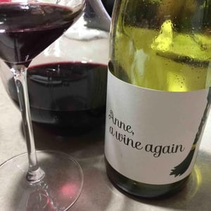 Autour de l'Anne - Anne Leclerc Paillet - Anne, a wine again