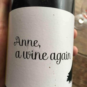 Anne, a wine again - Autour de l'Anne - anne-leclerc-paillet