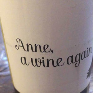 Anne, a wine again - Autour de l'Anne - anne-leclerc-paillet
