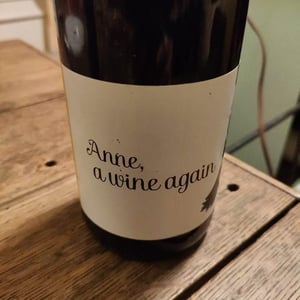 Autour de l'Anne - Anne Leclerc Paillet - Anne, a wine again