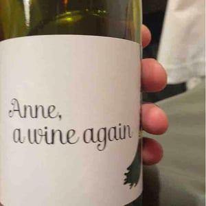 Anne, a wine again - Autour de l'Anne - Anne Leclerc Paillet 