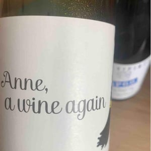 Anne, a wine again - Autour de l'Anne - Anne Leclerc Paillet 